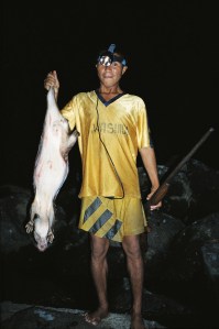 Night´s catch: Lapa