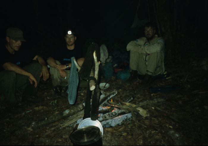 EVENING FIRE IN THE RAINFOREST.