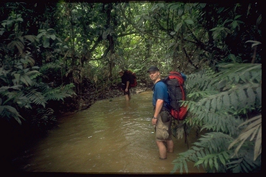 ON OUR WAY TO THE SOURCE