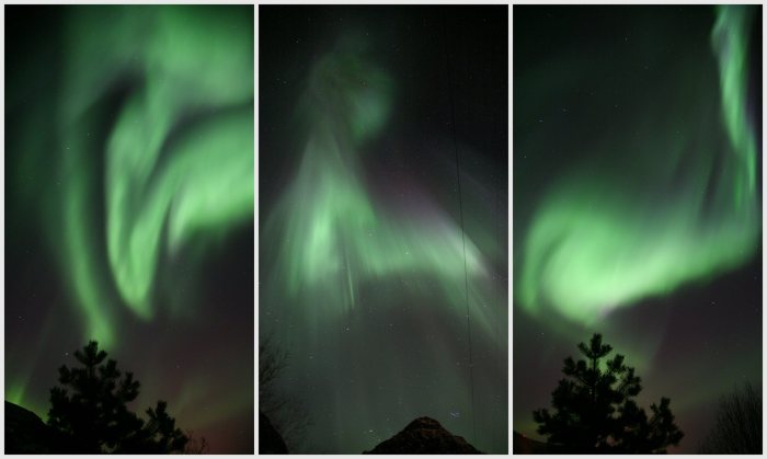 1617206_10151884251066207_1151046222_o